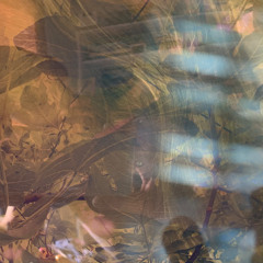 Ffynnon Antwn Sant July 23