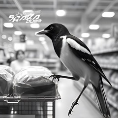 Sraka Dubz - Shoplifting (clip)