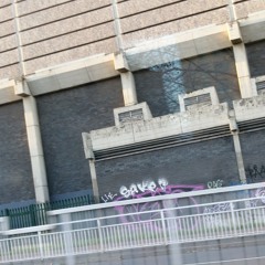 les bleurs - sasky sha