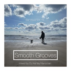 Bar Vibes Vol. 15 - Smooth Grooves