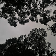 Slightly Overcast But All Good
