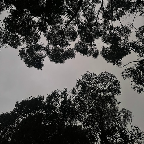 Slightly Overcast But All Good