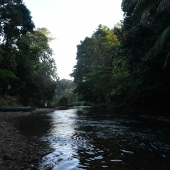 Sungai Besar Long Kerong 3 - Recorded by Franklin George for eBKF2021 Sonic Postcard project.