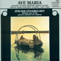 Ellen's Gesang III (Ave Maria!), Op. 56, No. 6, D. 839, "Hymne an Die Jungfrau"