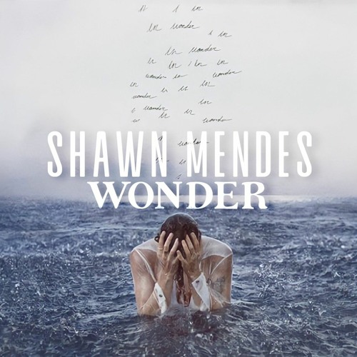 Wonder Shawn Mendes online exercise for