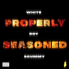 Properly Seasoned (Prod. Audiobutter)