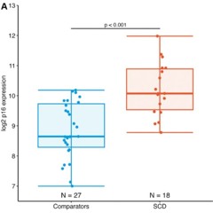 Accelerated Aging in Young Sickle Cell Patients Linked to Elevated T-cell p16INK4a