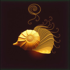 Golden Ratio Rhapsody (Celtic)