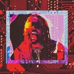 Playboi Carti - Never2much Prod. Avaaj