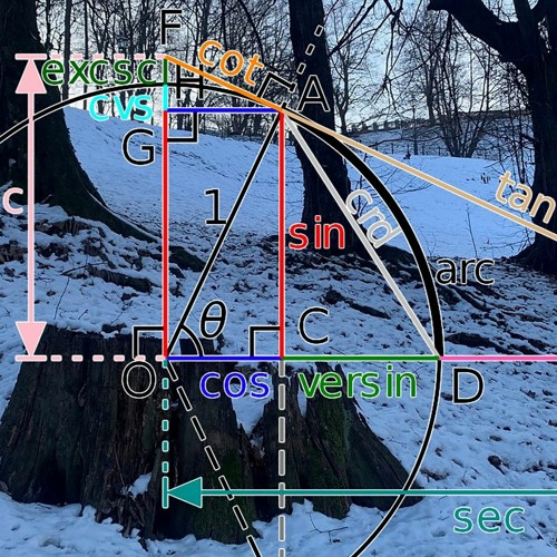 Colin Black - Triangulation