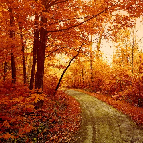 Endless Nothingness VI - Orange Journey