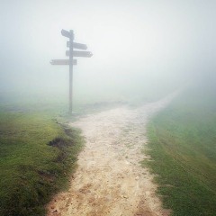 DS- Only Path