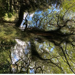 Botanical Bass -TONiQ (05/21/21)