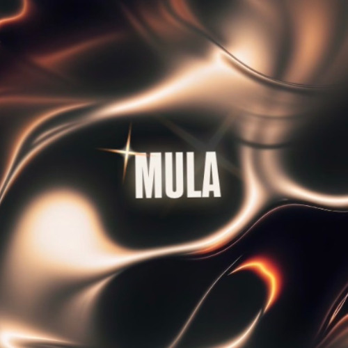 MULICIOUS HARDTECHNO MIX