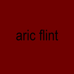aric flint