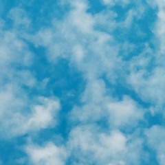 Probleem Freestyle - Willem Grijs