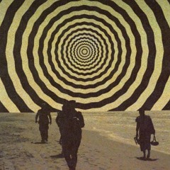 The sky is the limit for fools