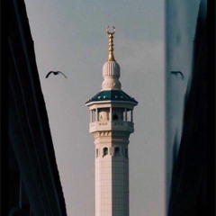 النحل  (ورش)  ||  القارئ أسامة عريبة
