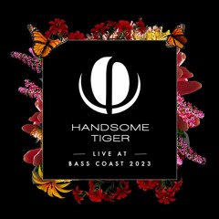 Handsome Tiger Live at Bass Coast 2023