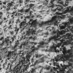 [FRT027] Doar Necesarul VA [AVAILABLE ON BANDCAMP]