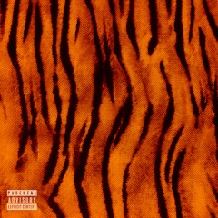 Spirit Animal (prod. Maajei Vu)