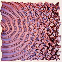 Feed Daedalus: V1.1 (Metamorphosis)