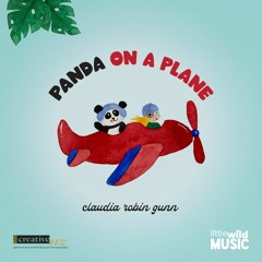 Panda On A Plane