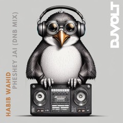 Habib Wahid - Pheshey Jai [DnB Mix] 2024