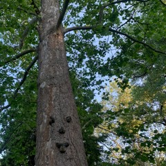 K.A. Callison “ShWa1five” at TheUnderground Lab Denver