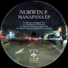 Premiere : Norwin P. - Japanese Karaoke (Distilled Noise Remix) (PAULUM006)