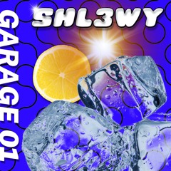 Garage 01
