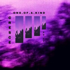 one of a kind (p. cresce & haelen)