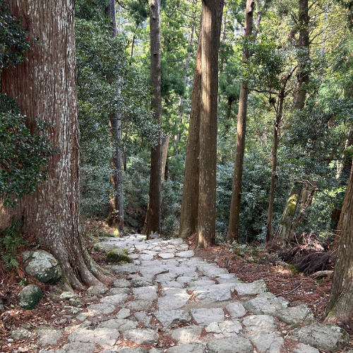 oh wanderer- o and Antonio Machado