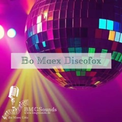 Wir Tanzen Heut Bo Maex Discofox!.mp3