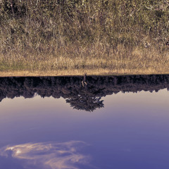 По вашему запросу ничего не найдено
