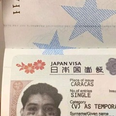 suei - VISA