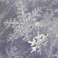 Frozenbliss