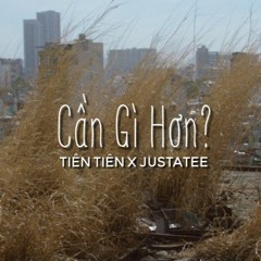 Cần Gì Hơn (80s) remix by meee