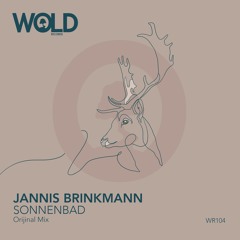 JANNIS BRINKMANN - Sonnenbad (Original Mix)