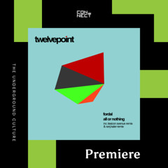 PREMIERE: Fordal - All Or Nothing (Ranj Kaler's Everything Remix) [Twelvepoint]