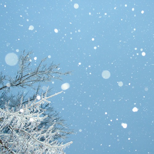 雪国