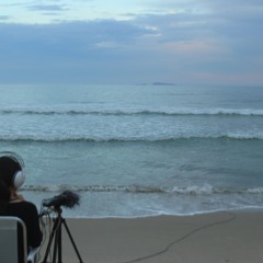 silêncios costeiros [trechos - praia da solidão-etc.] - dentro/fora - 31/01/2023