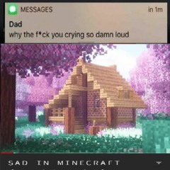 Sweden (Lo-Fi Remix)