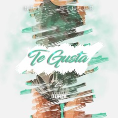 Noise Silver - Te Gusta