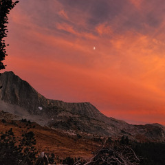 WILDFIRE