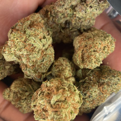 REEFER (un finished)