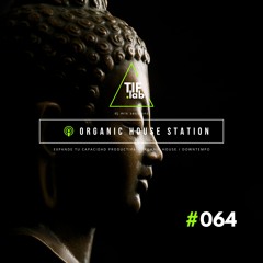 Zen Organic House #064 - Melodies for the Mind | 🛋️ Deep Focus dj mix session 慢摇