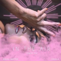 In The Air - Brian Matrix & ZAVALA  [Free Download]