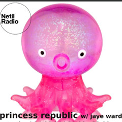 princess republic w/ Jaye Ward - 26th April 2025