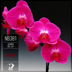 Giannis Dee Jay - Bizarre (Original Mix)